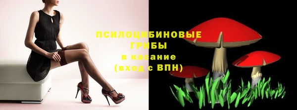 гидропоника Верхний Тагил